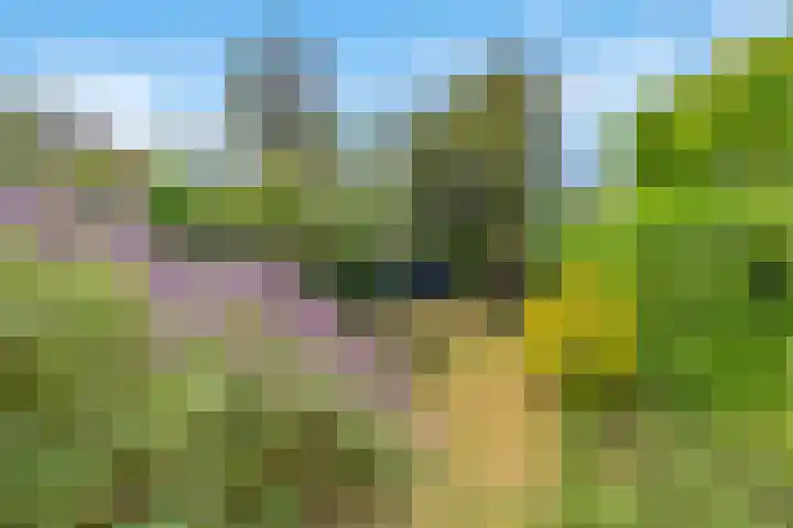 Frederiklaan 10 Rijswijk thumbnail 16