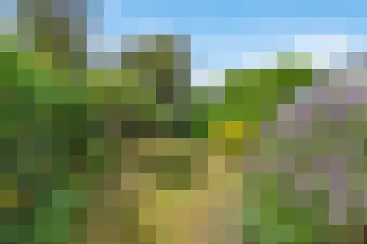 Frederiklaan 10 Rijswijk thumbnail 17
