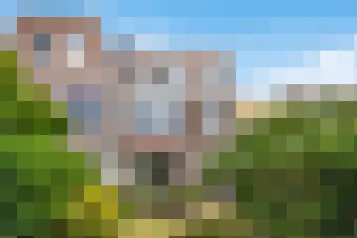 Frederiklaan 10 Rijswijk thumbnail 20