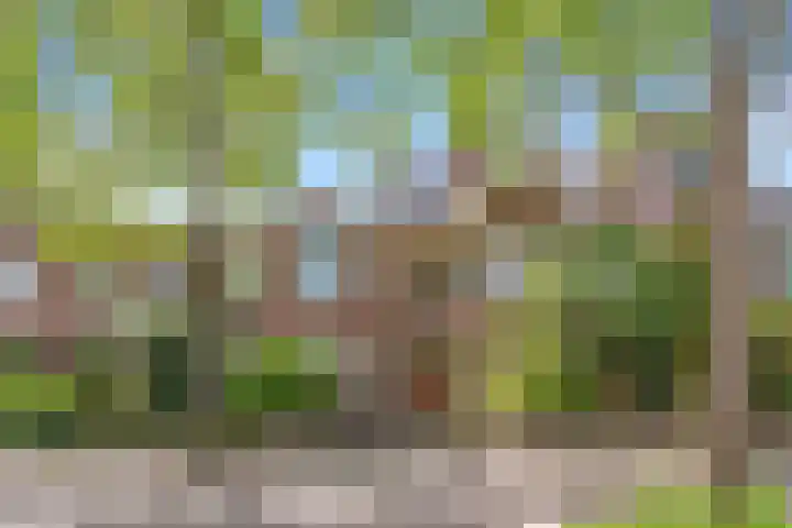 Frederiklaan 10 Rijswijk thumbnail 41