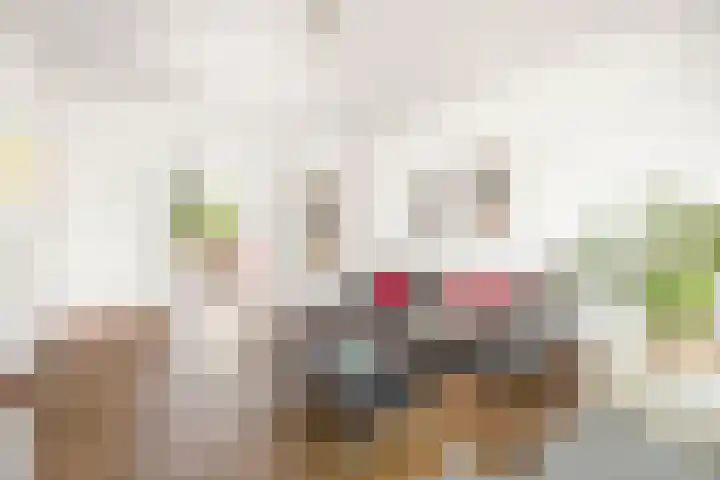 Frederiklaan 10 Rijswijk thumbnail 9