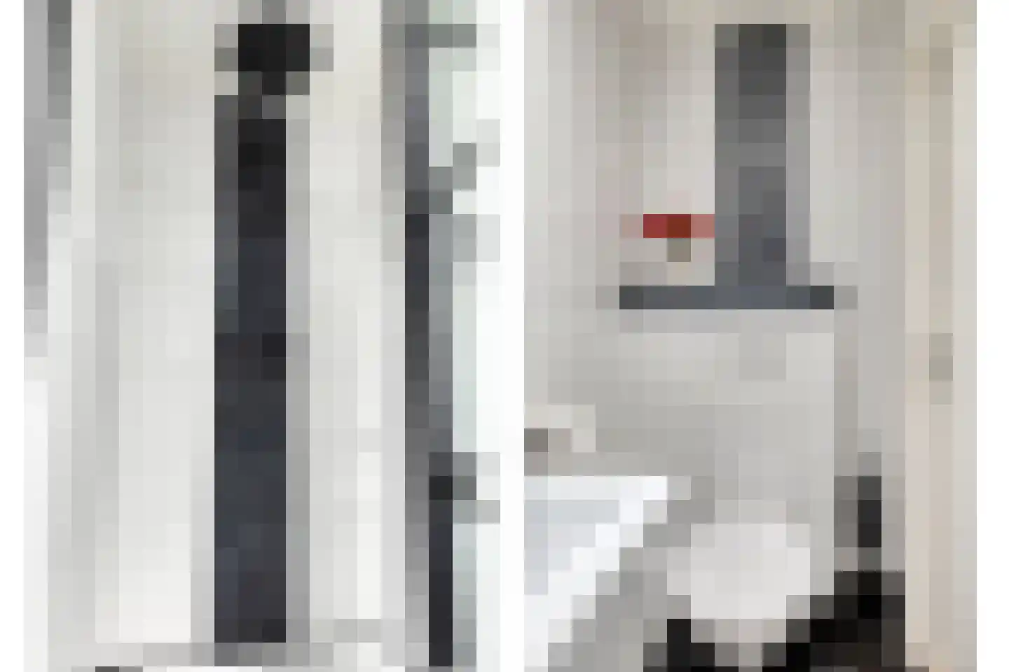 Frederiklaan 106 Eindhoven thumbnail 11