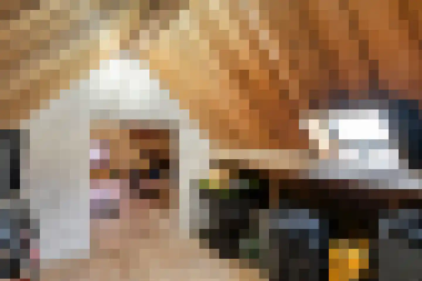 Frederiklaan 106 Eindhoven thumbnail 17