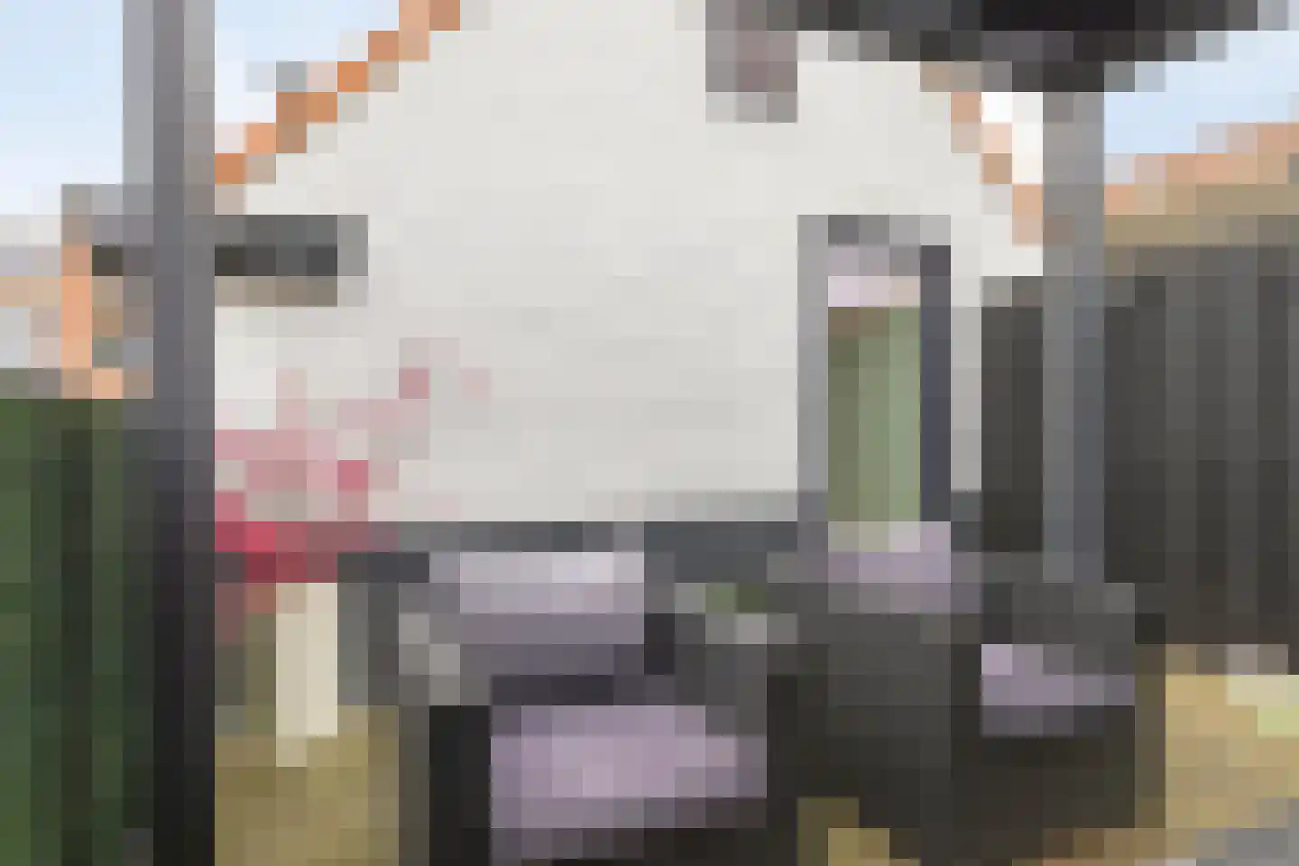 Frederiklaan 106 Eindhoven thumbnail 21
