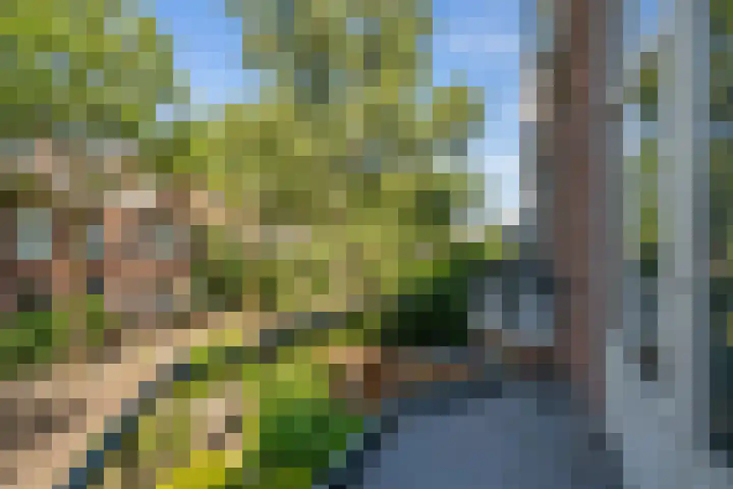 Frederiklaan 41 Rijswijk thumbnail 24