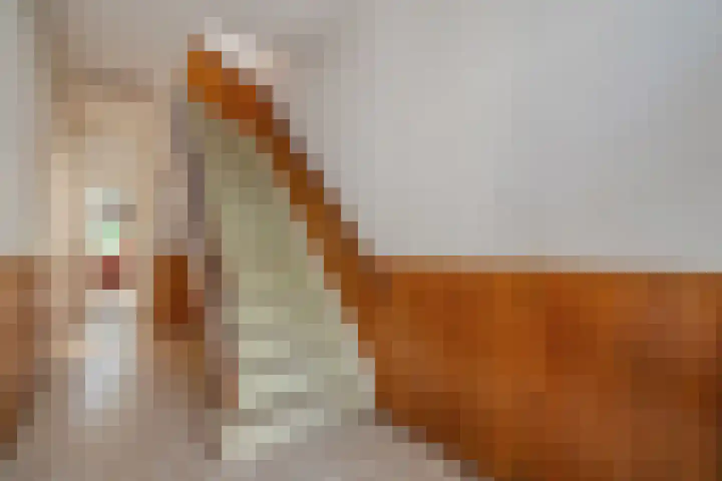 Frederiklaan 41 Rijswijk thumbnail 7