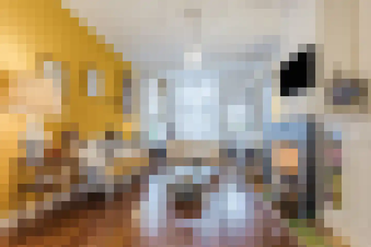 Frederiklaan 53 Rijswijk thumbnail 10