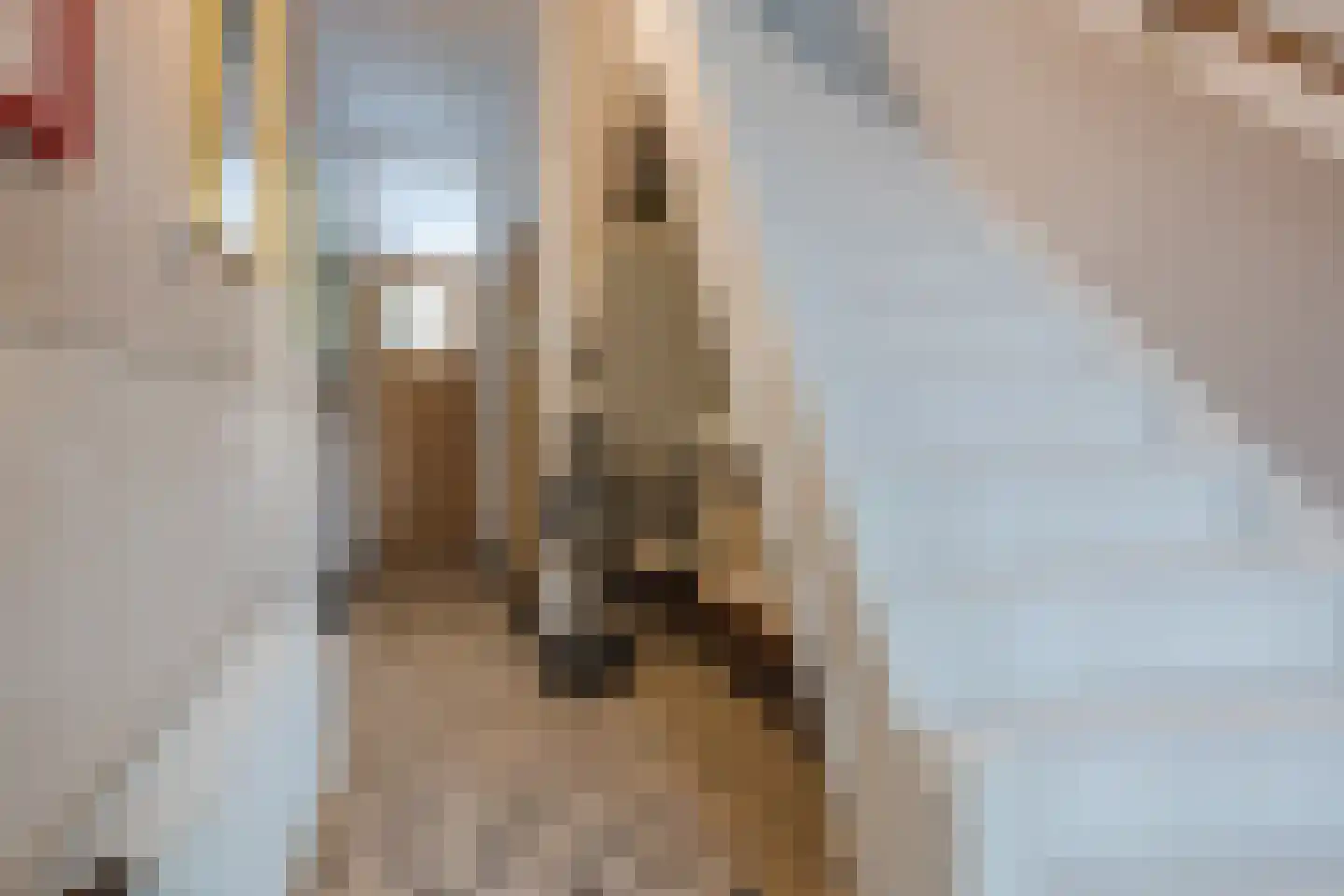 Frederiklaan 53 Rijswijk thumbnail 19