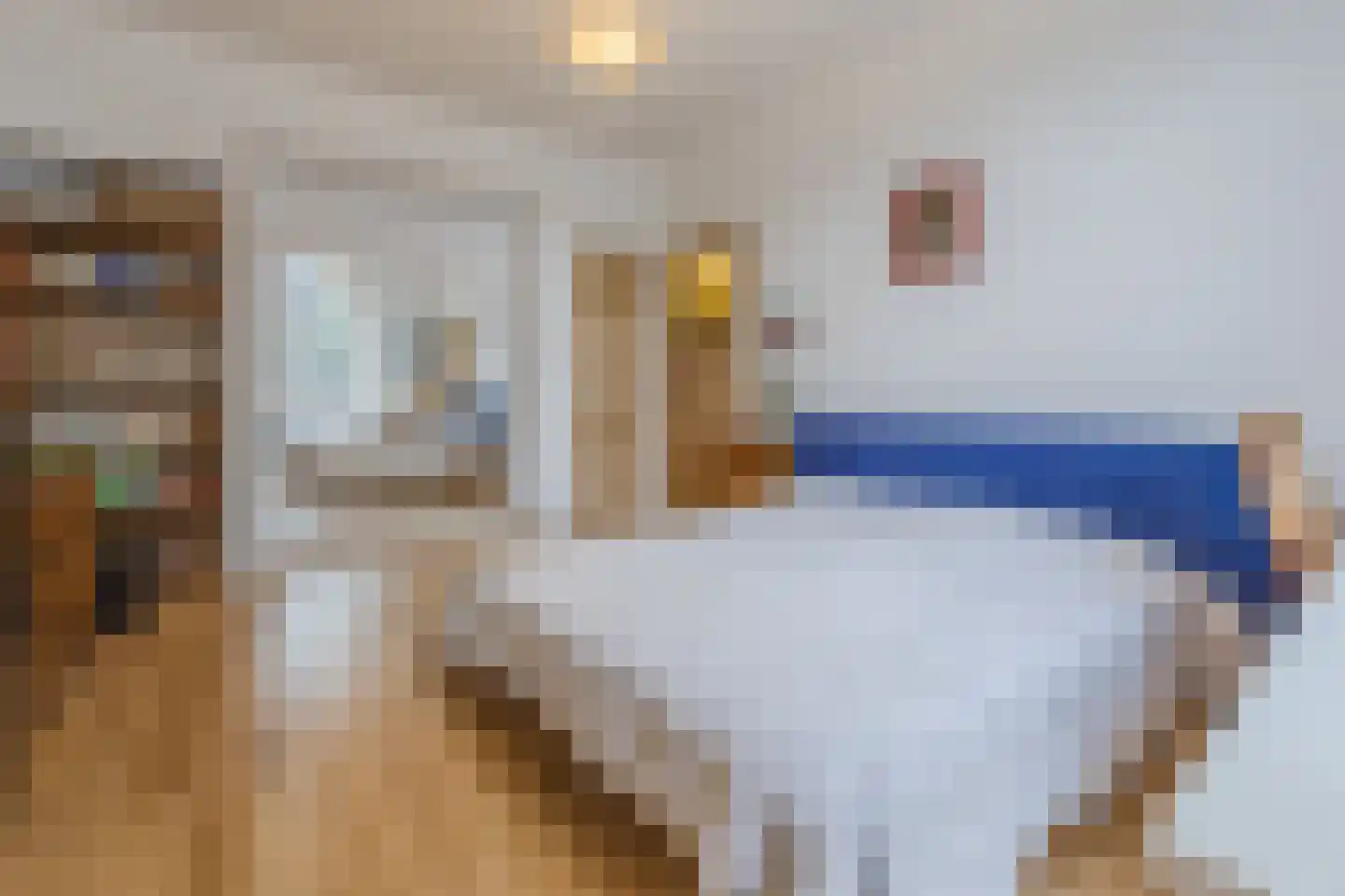 Frederiklaan 53 Rijswijk thumbnail 26