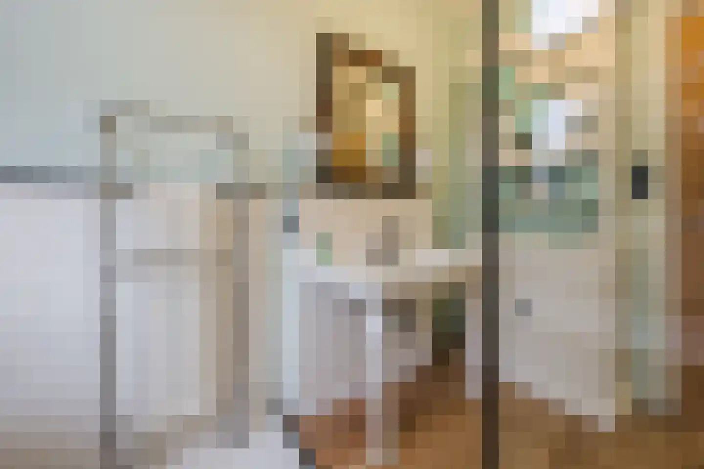 Frederiklaan 53 Rijswijk thumbnail 33