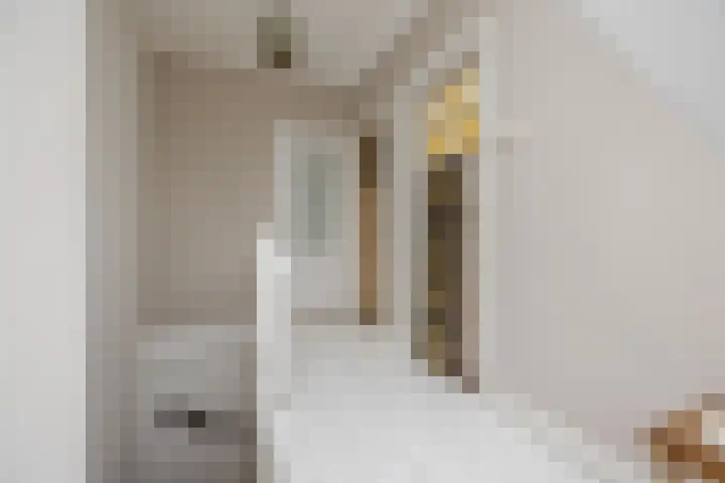 Frederiklaan 53 Rijswijk thumbnail 37