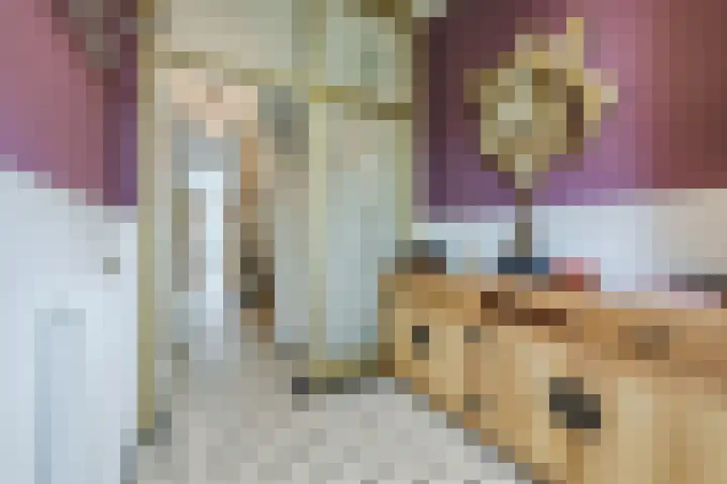 Frederiklaan 53 Rijswijk thumbnail 5