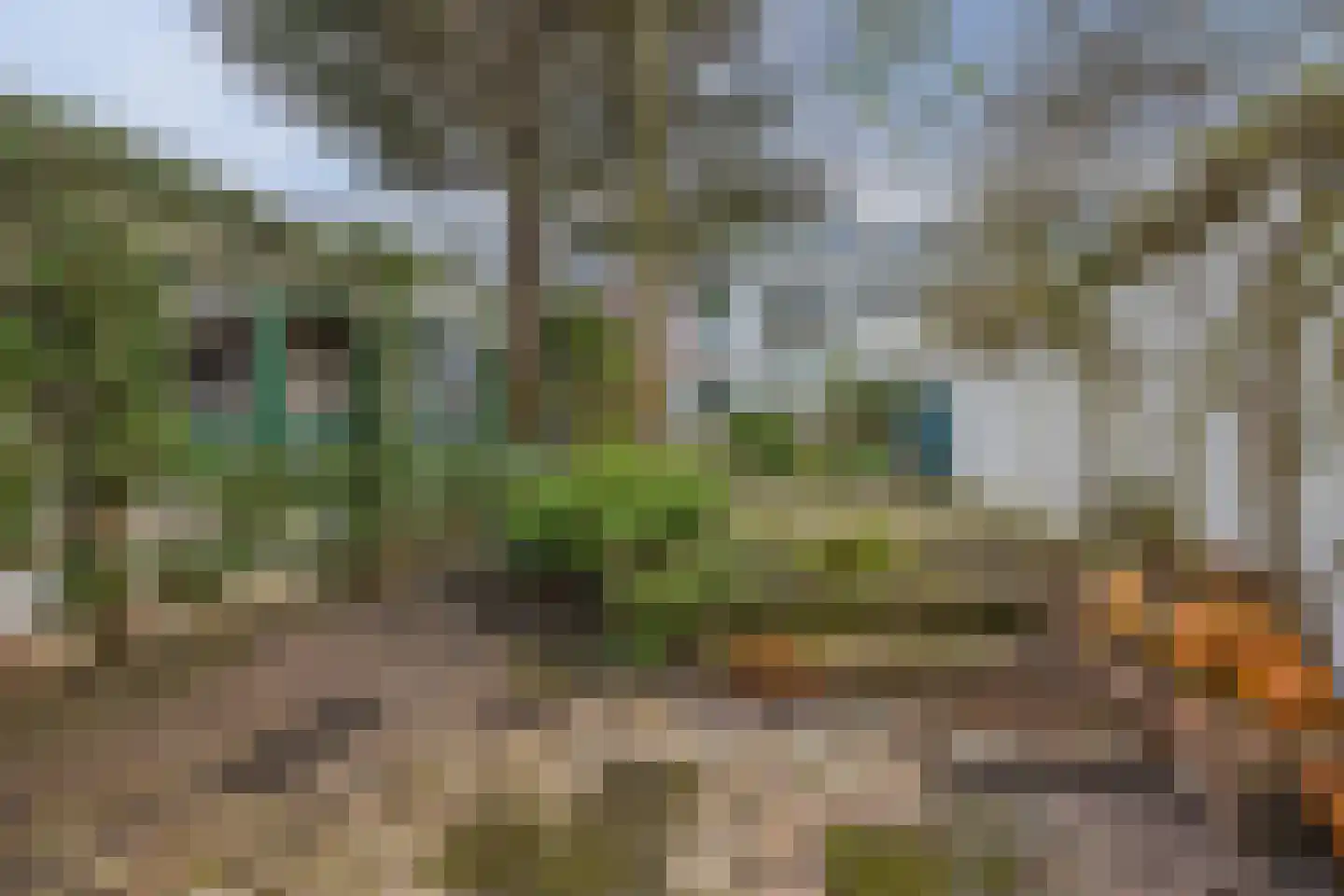Frederiklaan 53 Rijswijk thumbnail 50