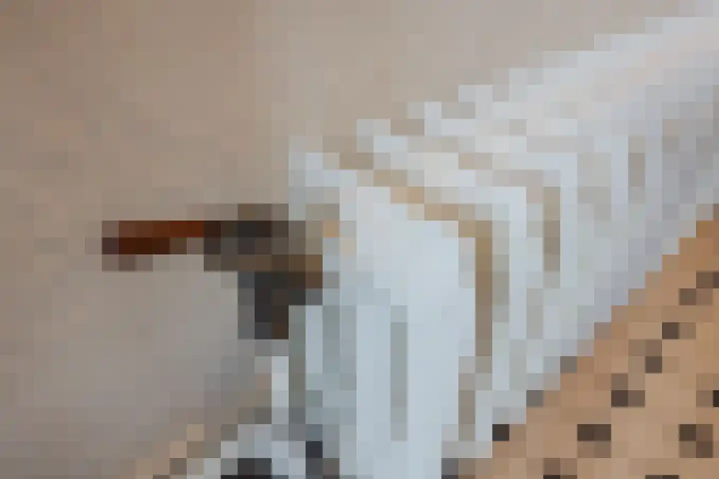 Frederiklaan 53 Rijswijk thumbnail 8