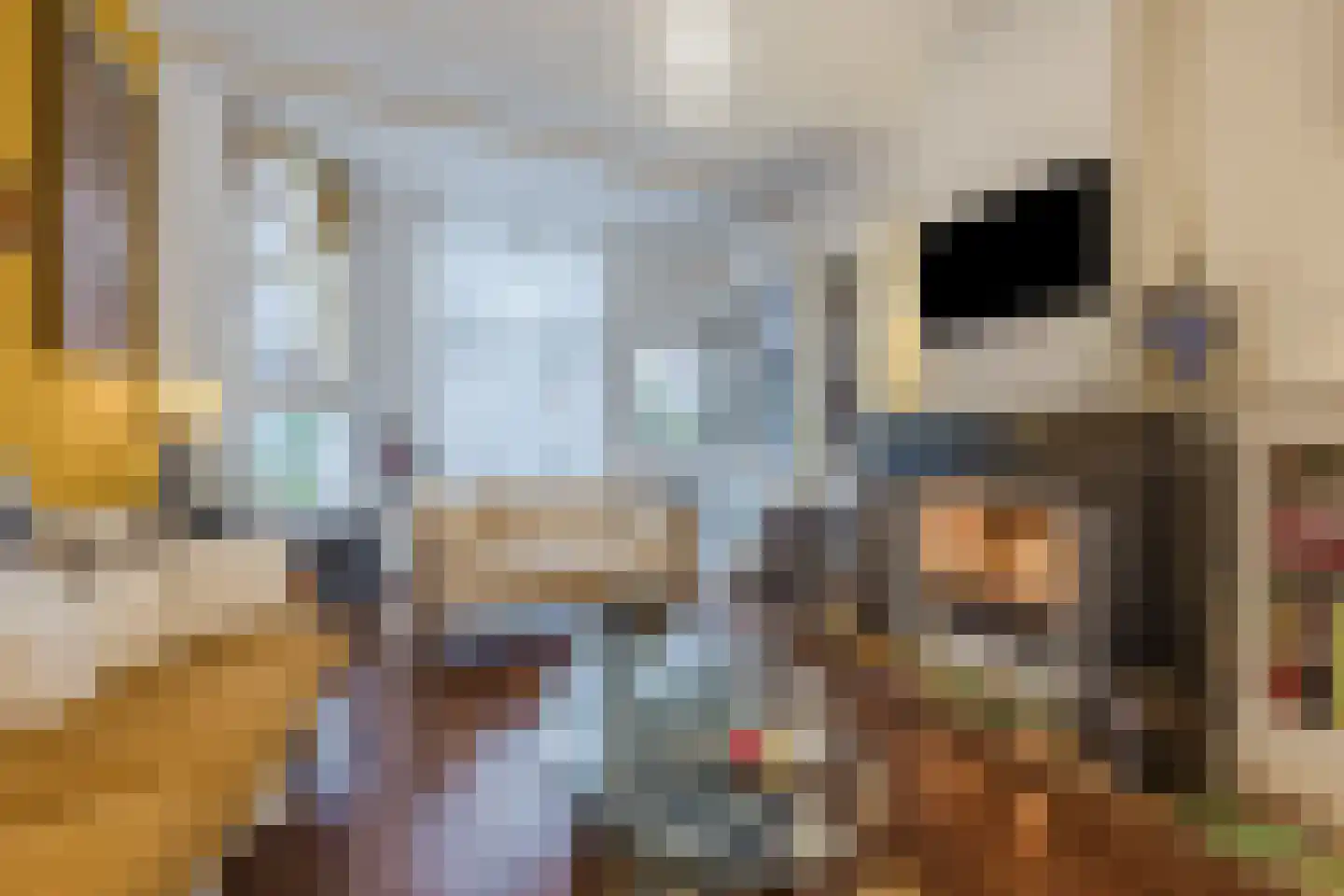 Frederiklaan 53 Rijswijk thumbnail 9