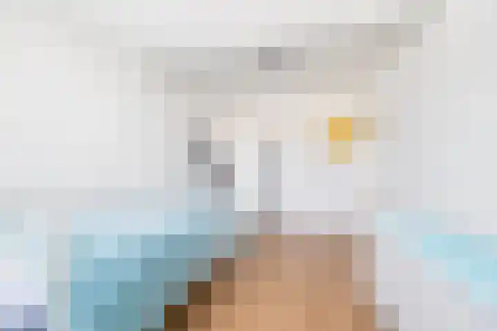 Frederiklaan 9 Rijswijk thumbnail 20