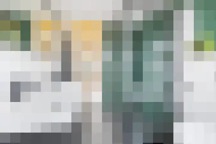 Frederiklaan 9 Rijswijk thumbnail 22