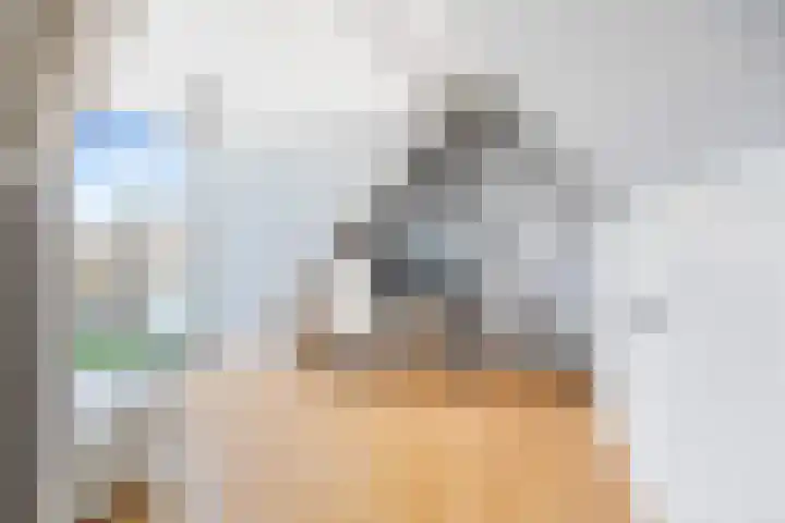 Frederiklaan 9 Rijswijk thumbnail 23
