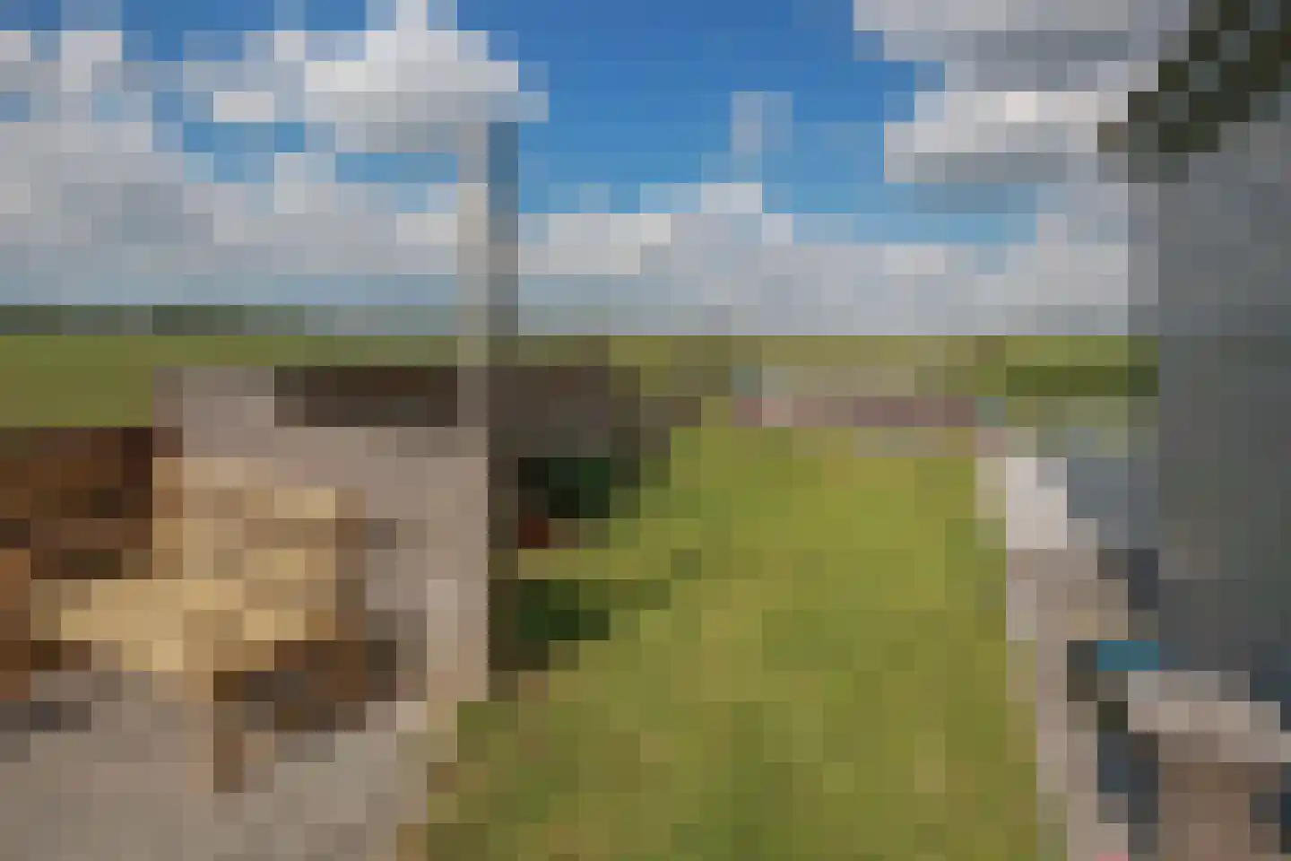 Frederikskade 10 w Hoogmade thumbnail 28