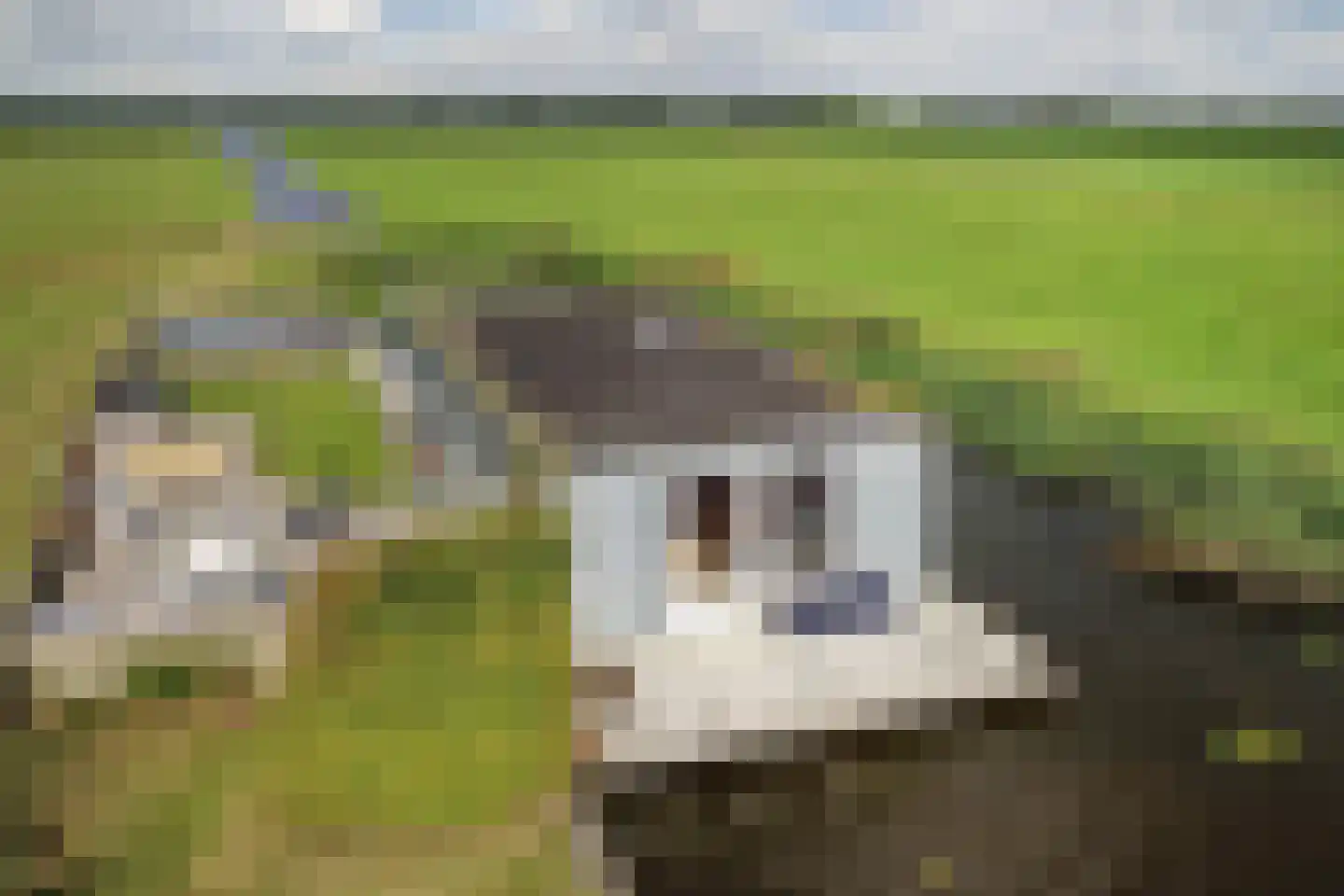 Frederikskade 10 w Hoogmade thumbnail 39
