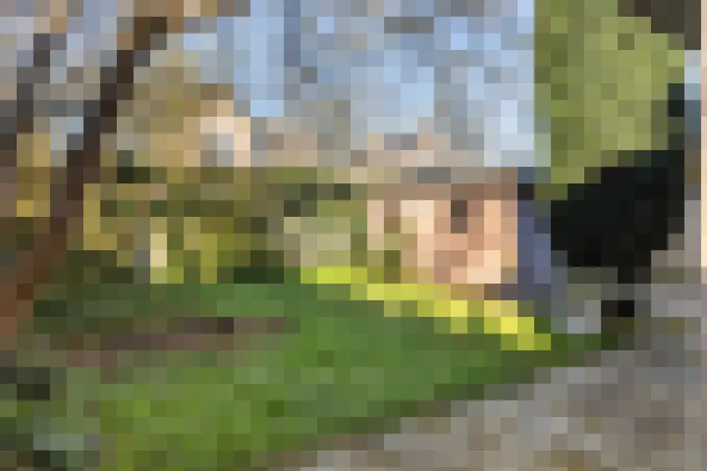 Frederikslaan 17 Apeldoorn thumbnail 21