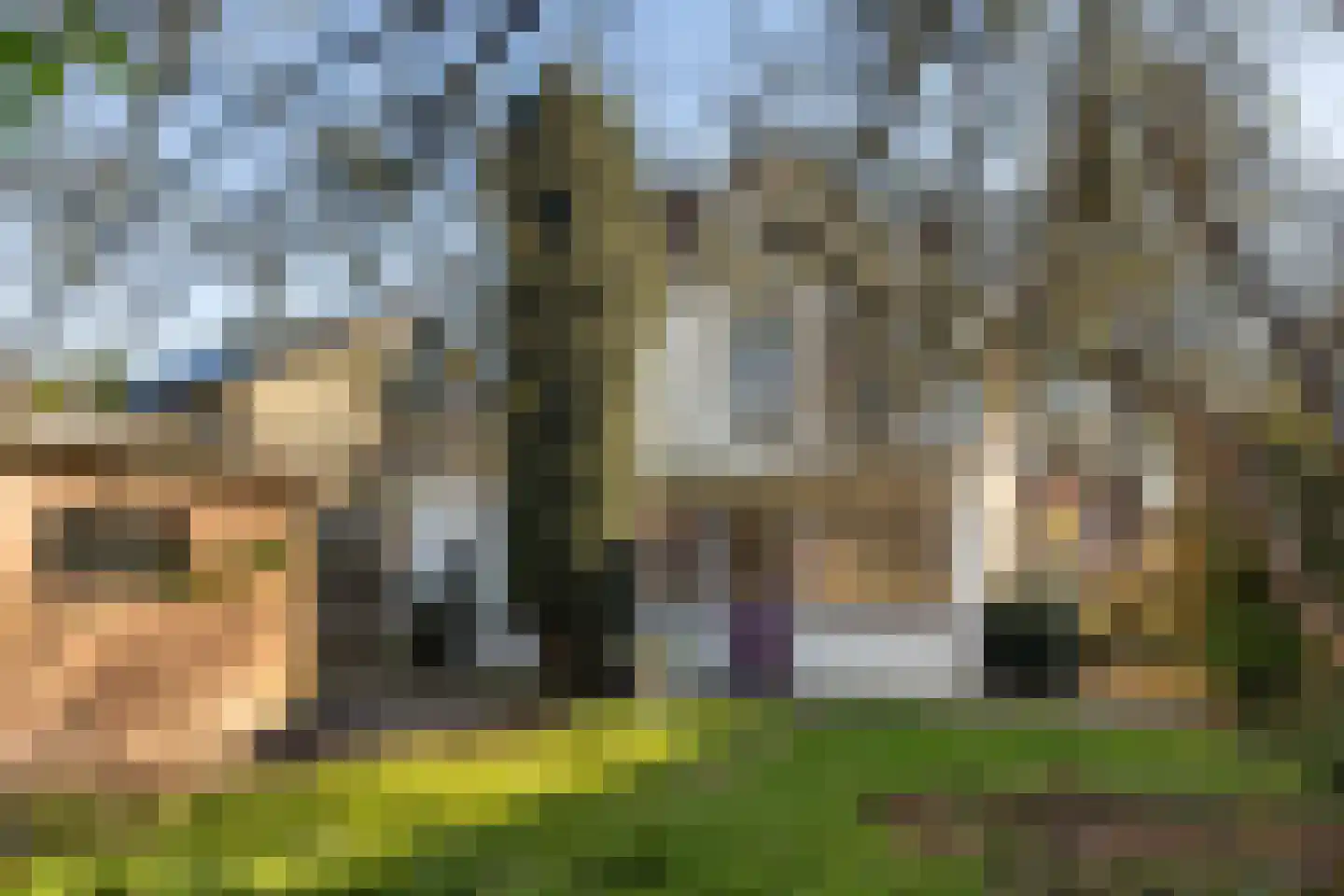 Frederikslaan 17 Apeldoorn thumbnail 22
