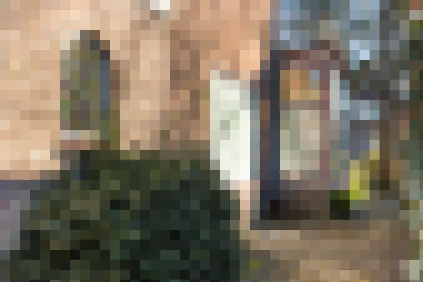 Frederikslaan 17 Apeldoorn thumbnail 23