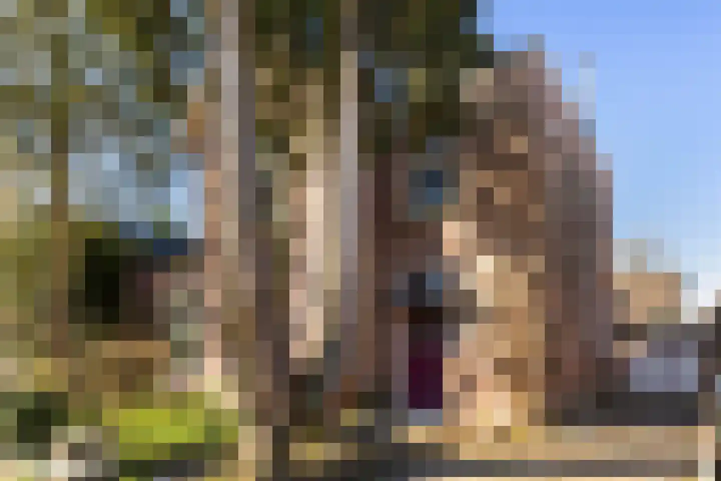 Frederikslaan 17 Apeldoorn thumbnail 24