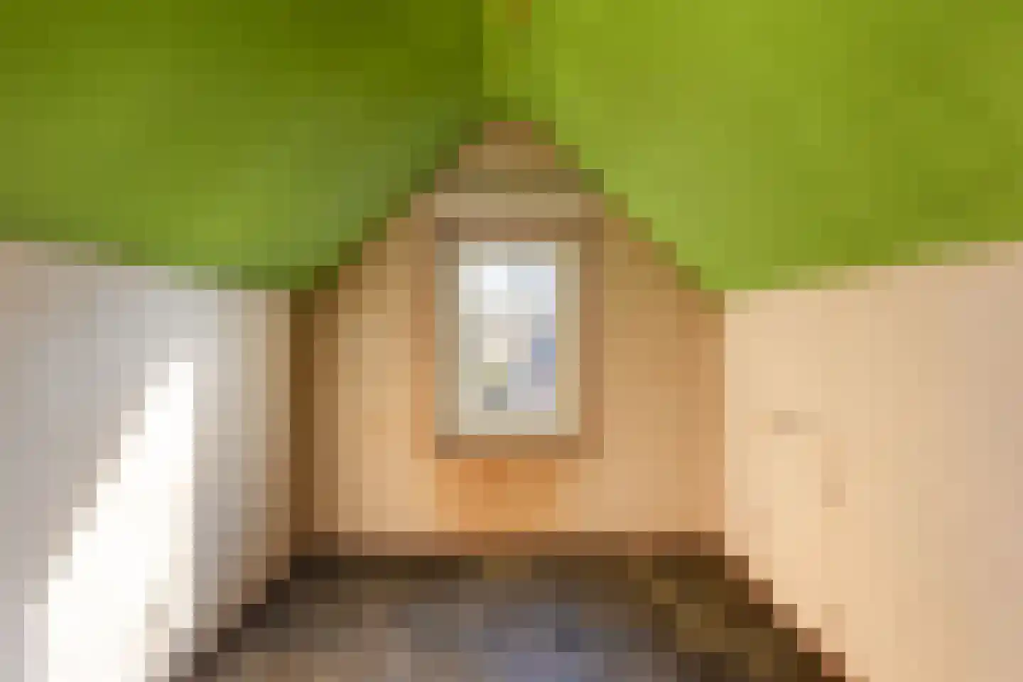 Frederikslaan 17 Apeldoorn thumbnail 42