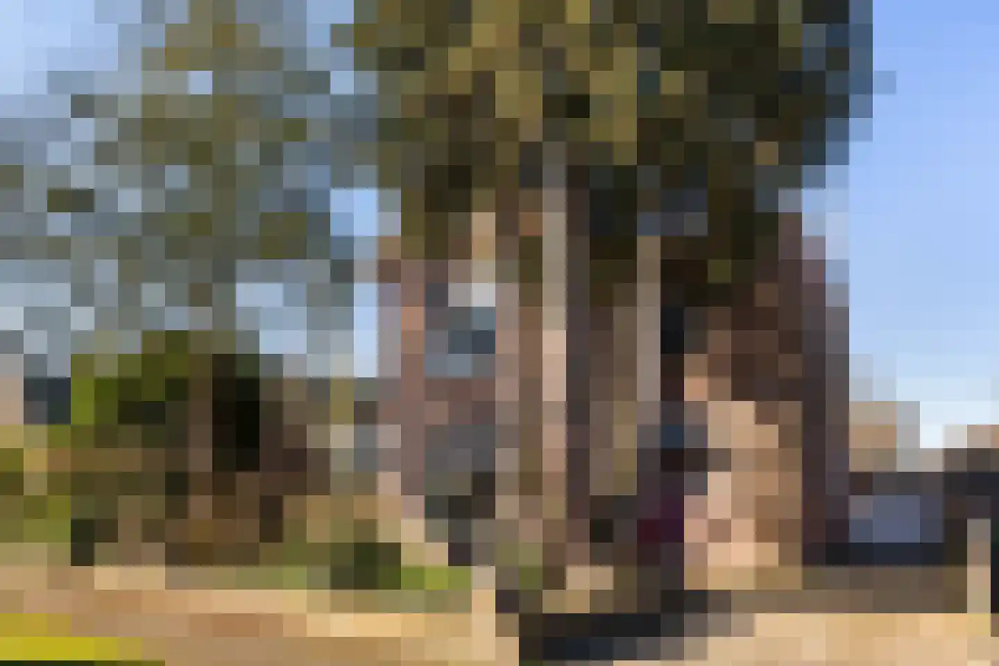 Frederikslaan 17 Apeldoorn thumbnail 43