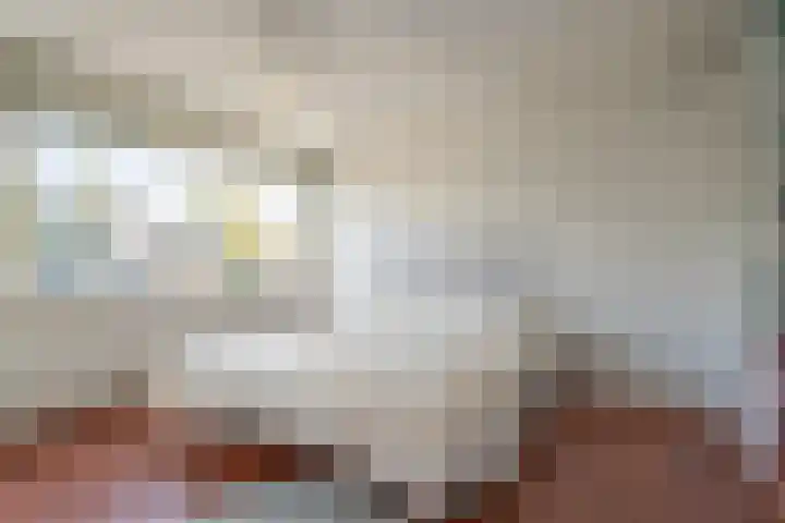 Frederiksoordlaan 10 Rijnsburg thumbnail 17