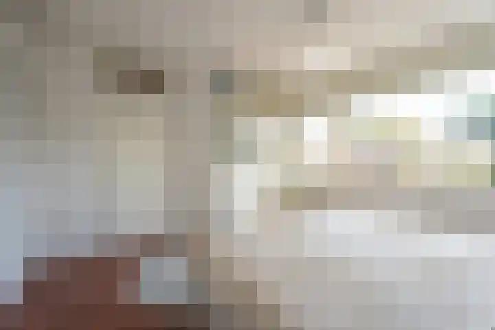 Frederiksoordlaan 10 Rijnsburg thumbnail 18
