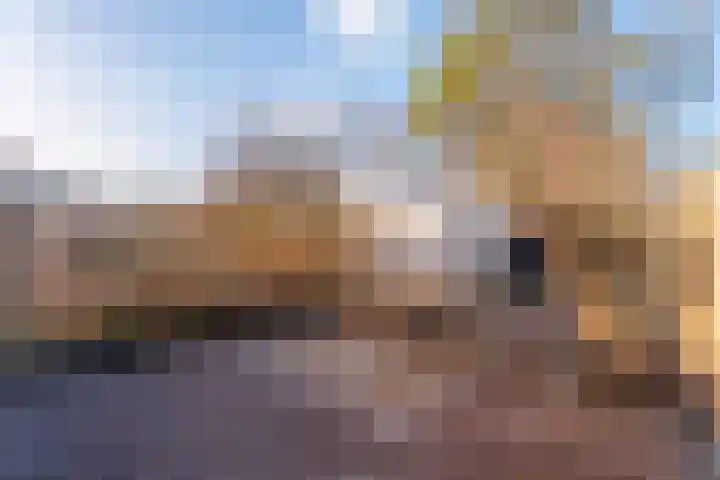 Frederiksoordlaan 10 Rijnsburg thumbnail 28
