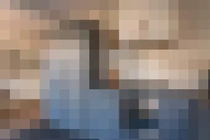 Frederiksoordlaan 10 Rijnsburg thumbnail 9