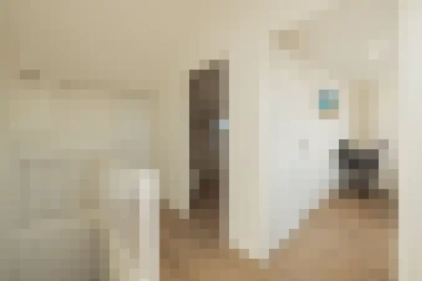 Frederiksoordlaan 12 Rijnsburg thumbnail 35