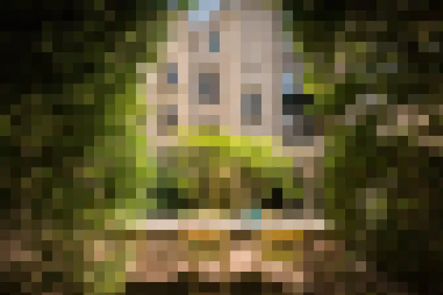 Frederiksplein 17 Amsterdam thumbnail 17