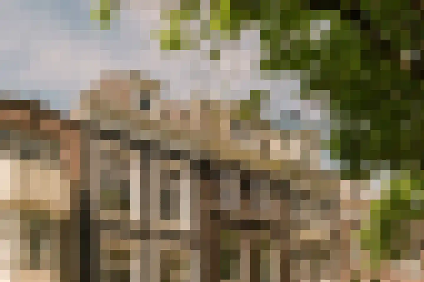Frederiksplein 17 Amsterdam thumbnail 43