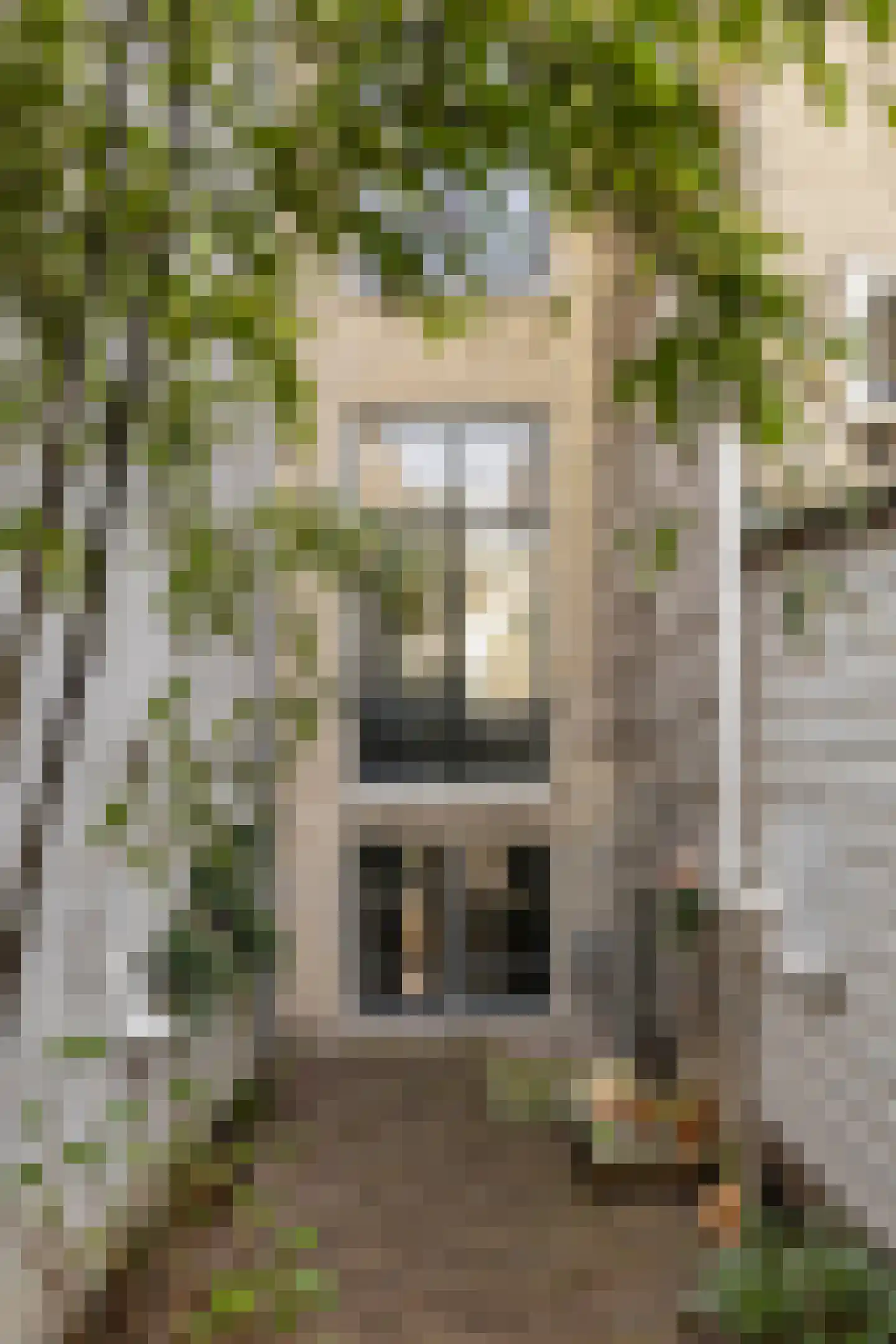 Frederiksplein 20 Amsterdam thumbnail 17