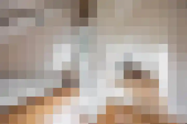 Frederiksplein 3 a Groningen thumbnail 32