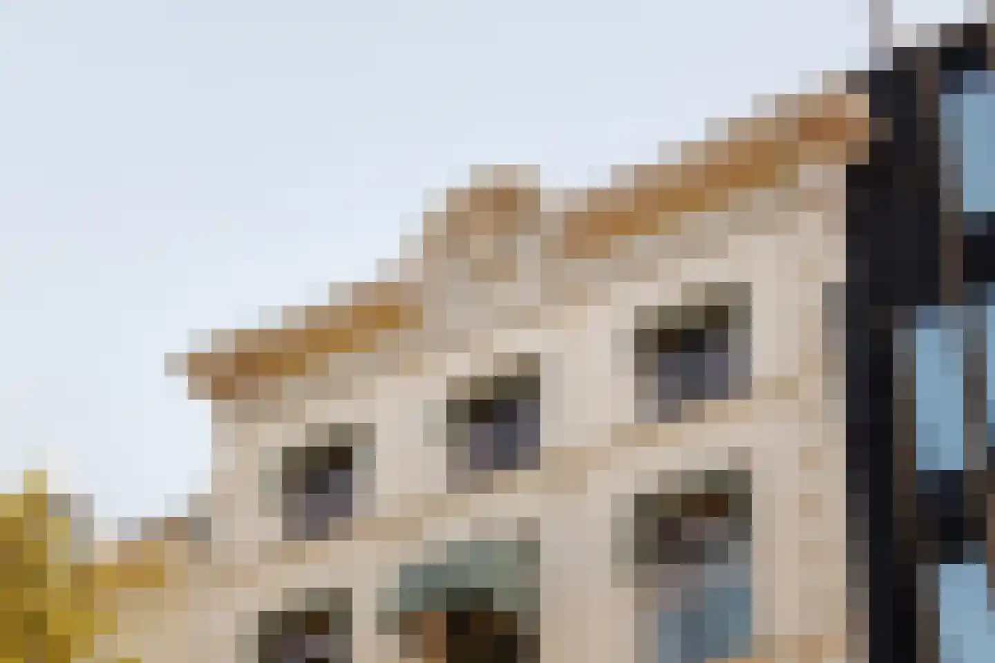 Frederiksplein 51 C Amsterdam thumbnail 36