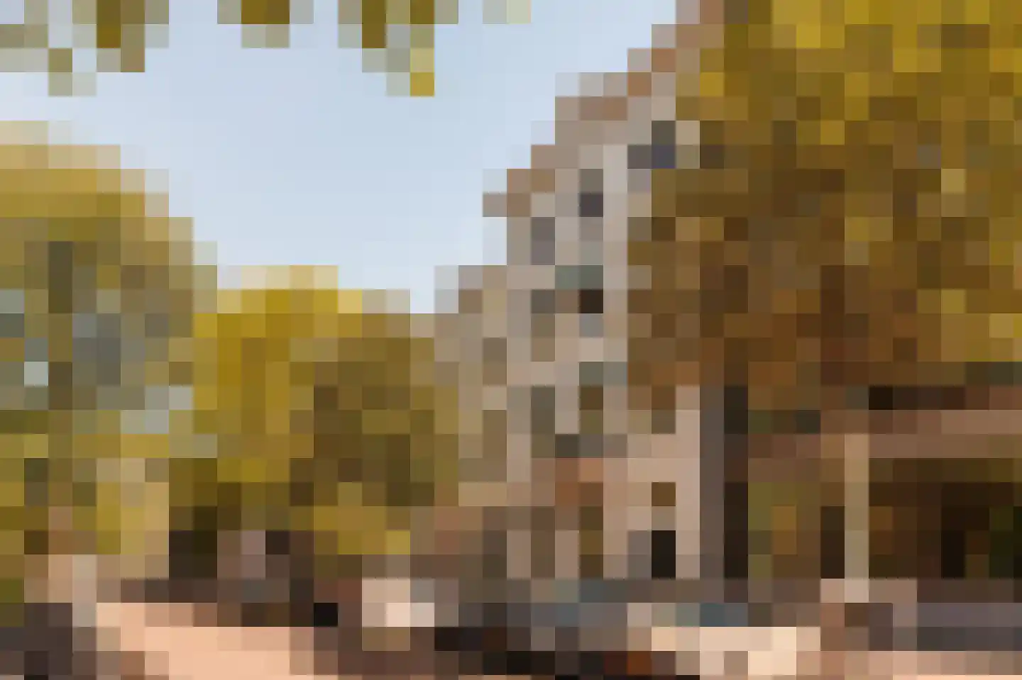 Frederiksplein 51 C Amsterdam thumbnail 37