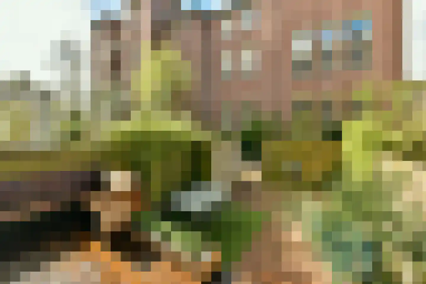 Frederiksstraat 14 H Amsterdam thumbnail 4