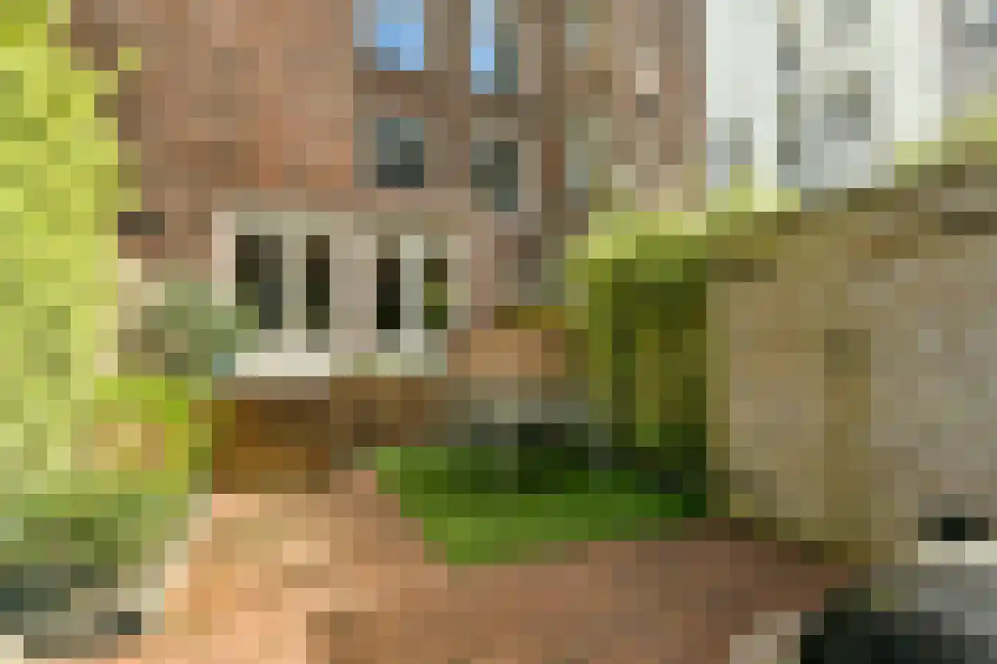 Frederiksstraat 14 H Amsterdam thumbnail 5