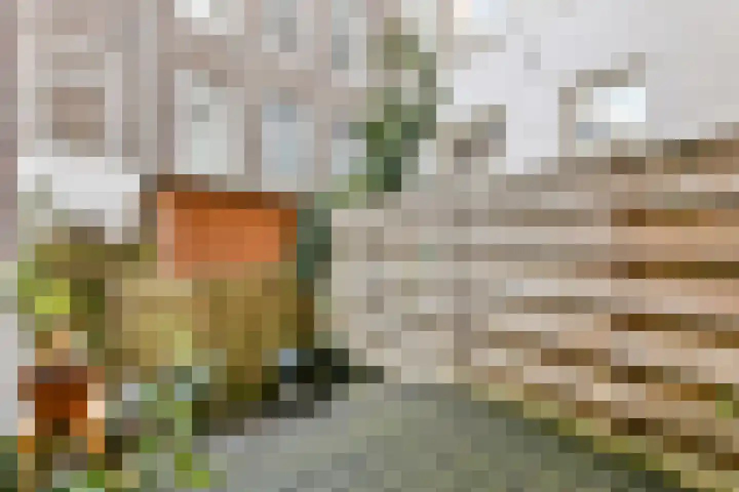 Frederiksstraat 33 1 Amsterdam thumbnail 14