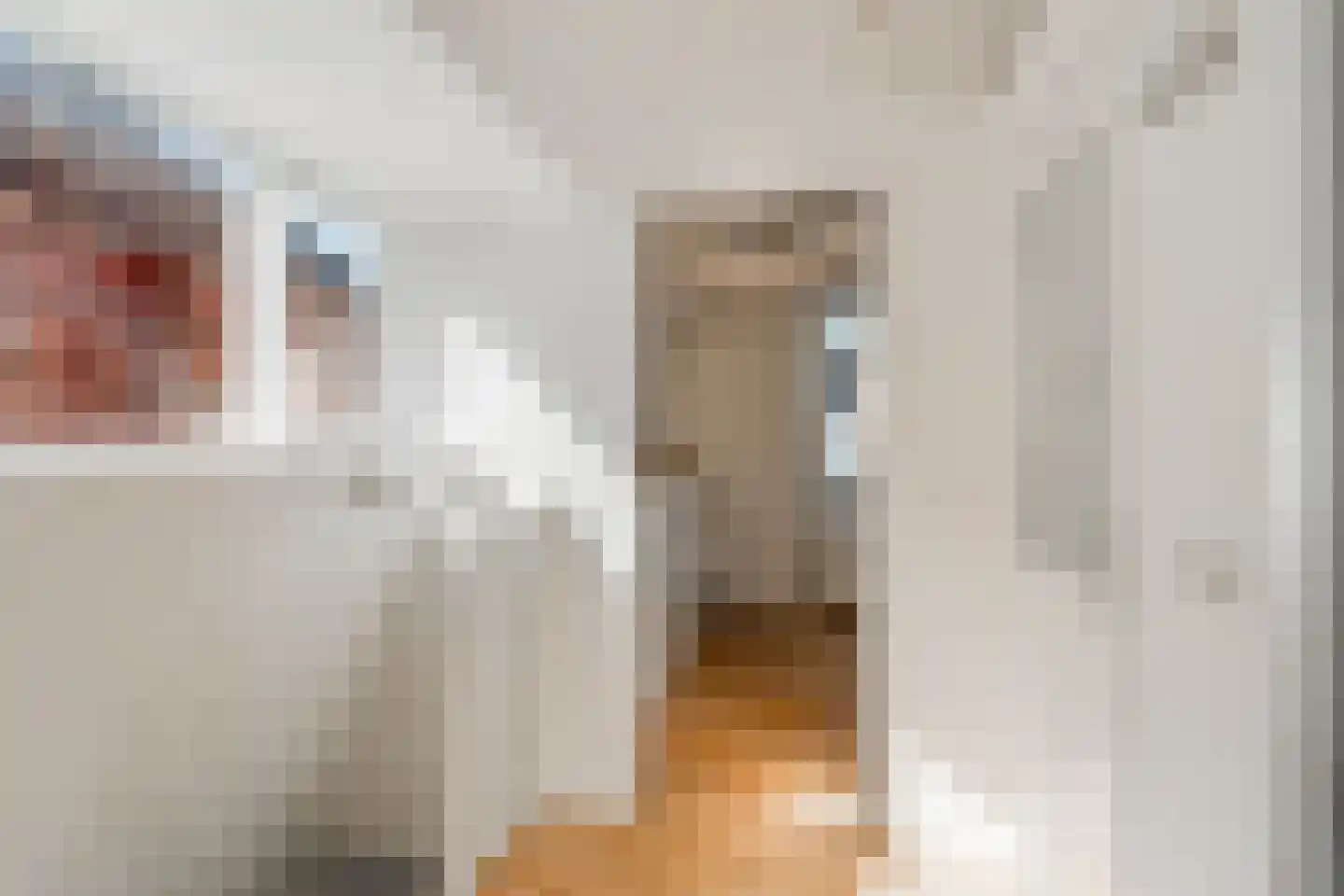 Frederiksstraat 5 3 Amsterdam thumbnail 22
