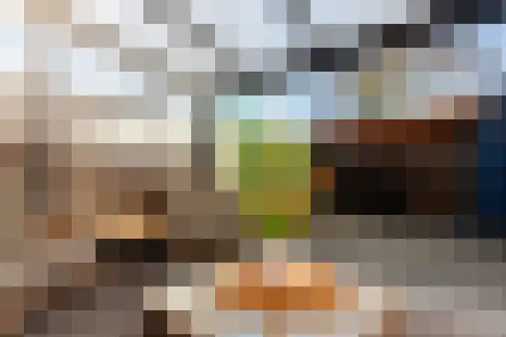Frederikstraat 18 Hardinxveld-Giessendam thumbnail 35
