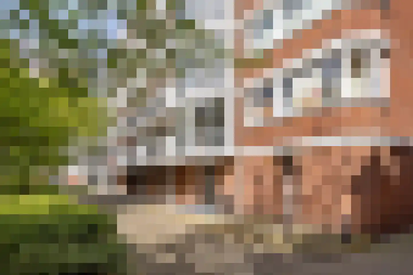 Frederikstraat 297 Den Haag thumbnail 22
