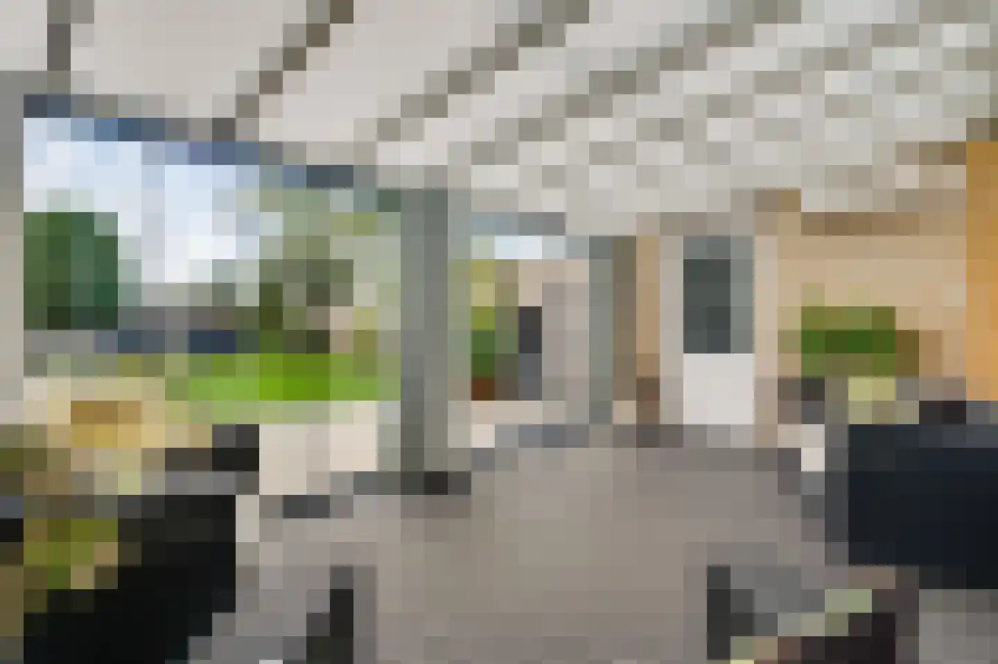 Frederikstraat 32 Koningsbosch thumbnail 6