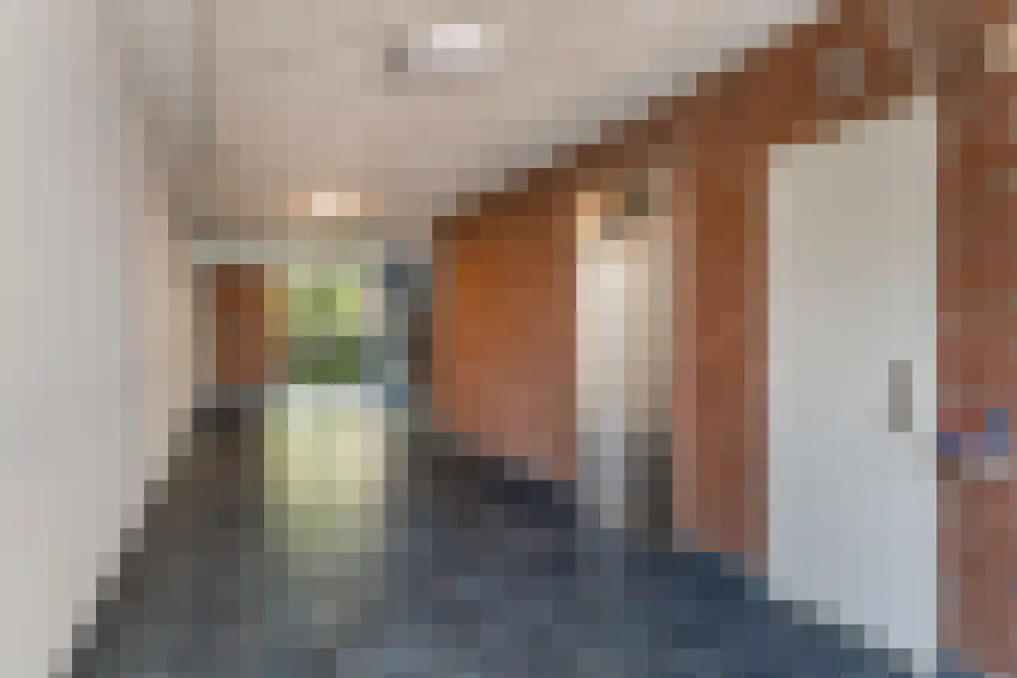 Frederikstraat 347 Den Haag thumbnail 9