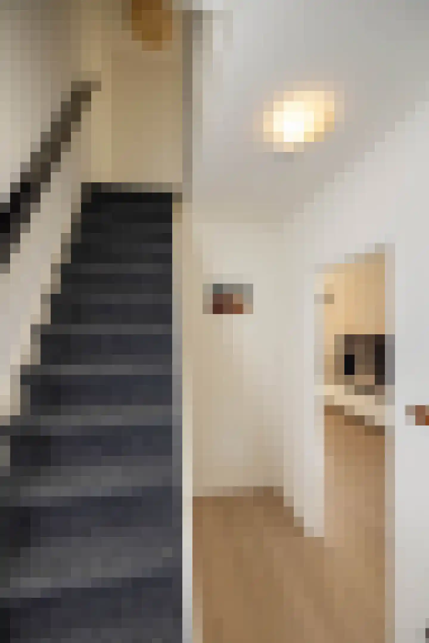 Frederikstraat 37 Hengelo thumbnail 15